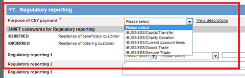 Regulatory reporting screenshot